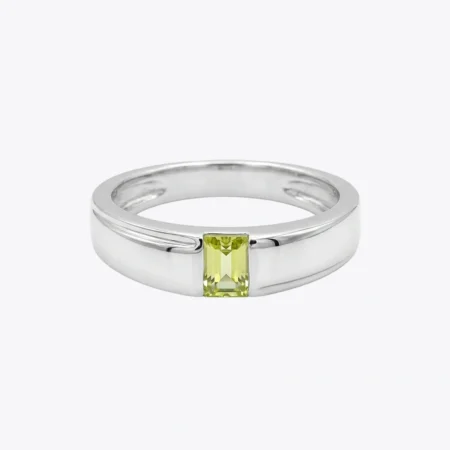 Sunlit Horizon Band Ring